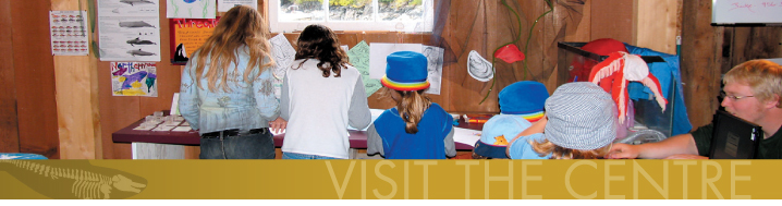 Visit the Centre