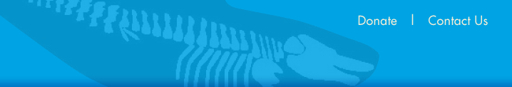 WIC Logo